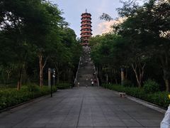-红花山公园