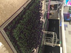 iphone_upload_pic-JFC品尚中心