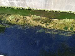 -星之彩摄影冲印店