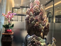 -醉辉皇上海之巅(上海中心大厦店)