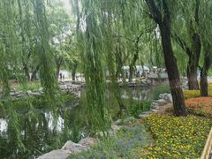 -庆丰包子铺(大红罗厂店)