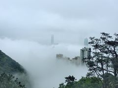 -太平山餐厅(山顶道店)