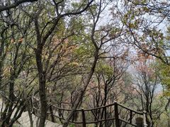 -秦岭终南山世界地质公园翠华山景区