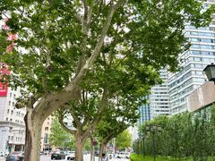 -大连富丽华大酒店