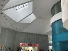 -深圳东部华侨城瀑布酒店