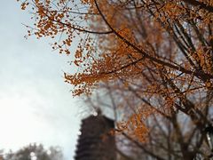 -玲珑塔公园