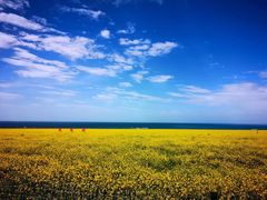 -青海湖国家重点风景名胜区