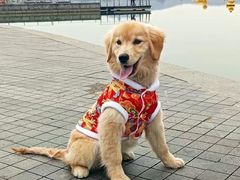 -关爱宠物医院·猫科中心·消化科(滨湖万达分院)