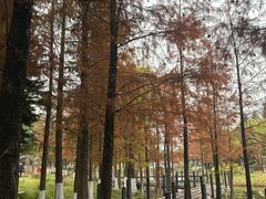 -映月湖公园