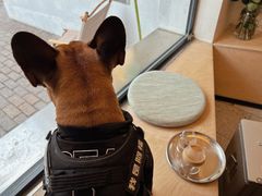 -村口大树(长乐路店)