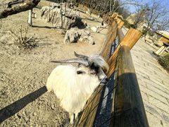 -茅山东方盐湖城景区
