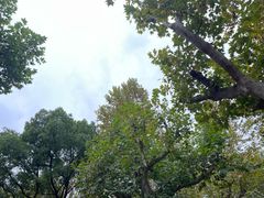 -上海孙中山故居纪念馆