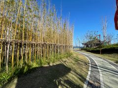 -上海滴水湖皇冠假日酒店