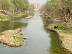 -将府公园
