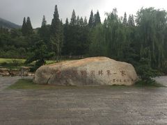 -习家池