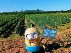 -北京张裕爱斐堡酒庄