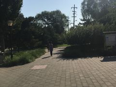 -玲珑塔公园