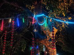 -蔡氏古民居建筑群