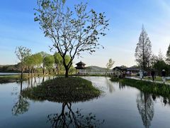 -渤公岛生态公园