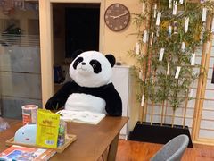 -优米国际日语·留学·移民(南山校区)