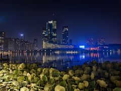 -天鹅湖体育公园