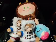 -海合安武汉极地海洋公园