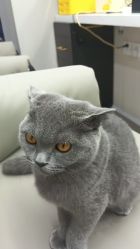 -尤司男士国潮理发馆