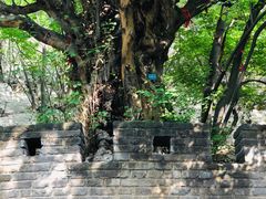 -青檀寺景区
