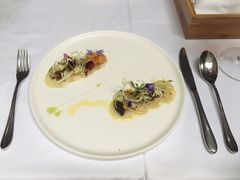 -蝶舍·MAISON PAPILLON