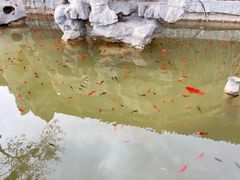 -碑林公园