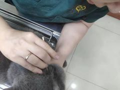 -瑞派康怡24h宠物医院·犬猫医疗中心·微创绝育(瑞景分院)