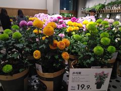 -鹿岛会员店 (龙湖三千集天街店)