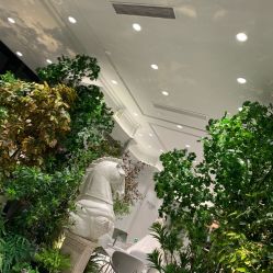 -MuseMarry婚纱(前海嘉里中心店)