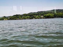 -西湖外事游船(花港观鱼码头)