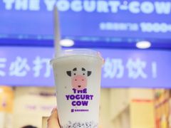 -一只酸奶牛(八一路店)