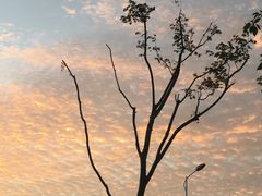 -春会馆(茂名北路店)