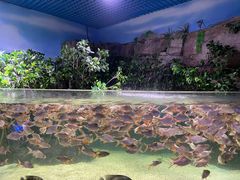 -多彩贵州城极地海洋世界