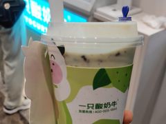 -一只酸奶牛(春熙路店)