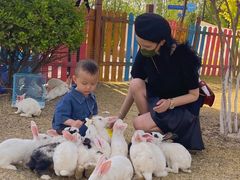 -华夏文旅海洋公园