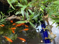 -希望齿科(河西店)