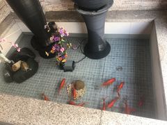 -英子补身汤(海兰路店)