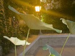 -花锦堂·隐庐