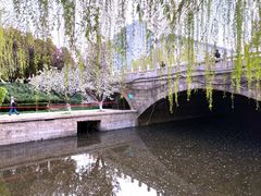 -海棠花溪(元大都城垣遗址公园)