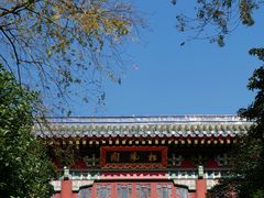 -灵谷景区