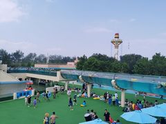 -秦皇岛乐岛海洋王国