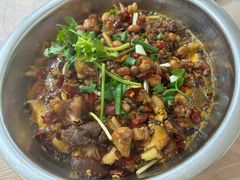 -食神又名厕所兔