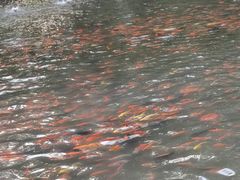 -水磨沟公园