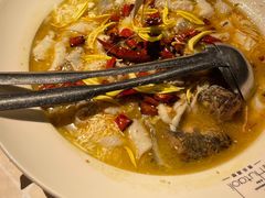 -胡桃里音乐酒馆(罗湖HALO广场店)
