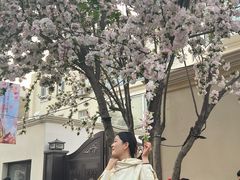 -天津五大道文化旅游区