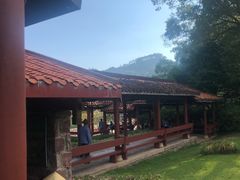 -九曲溪竹筏码头